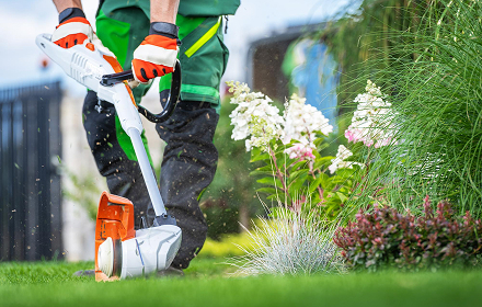 Professionelle Gartenpflege mit Rasenmähen, Heckenschnitt und Pflege von Grünanlagen durch LAO Dienstleistungen in NRW.
